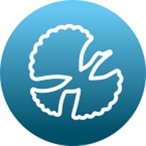 Министерство культуры Архангельской области