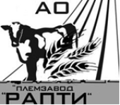 Рапти