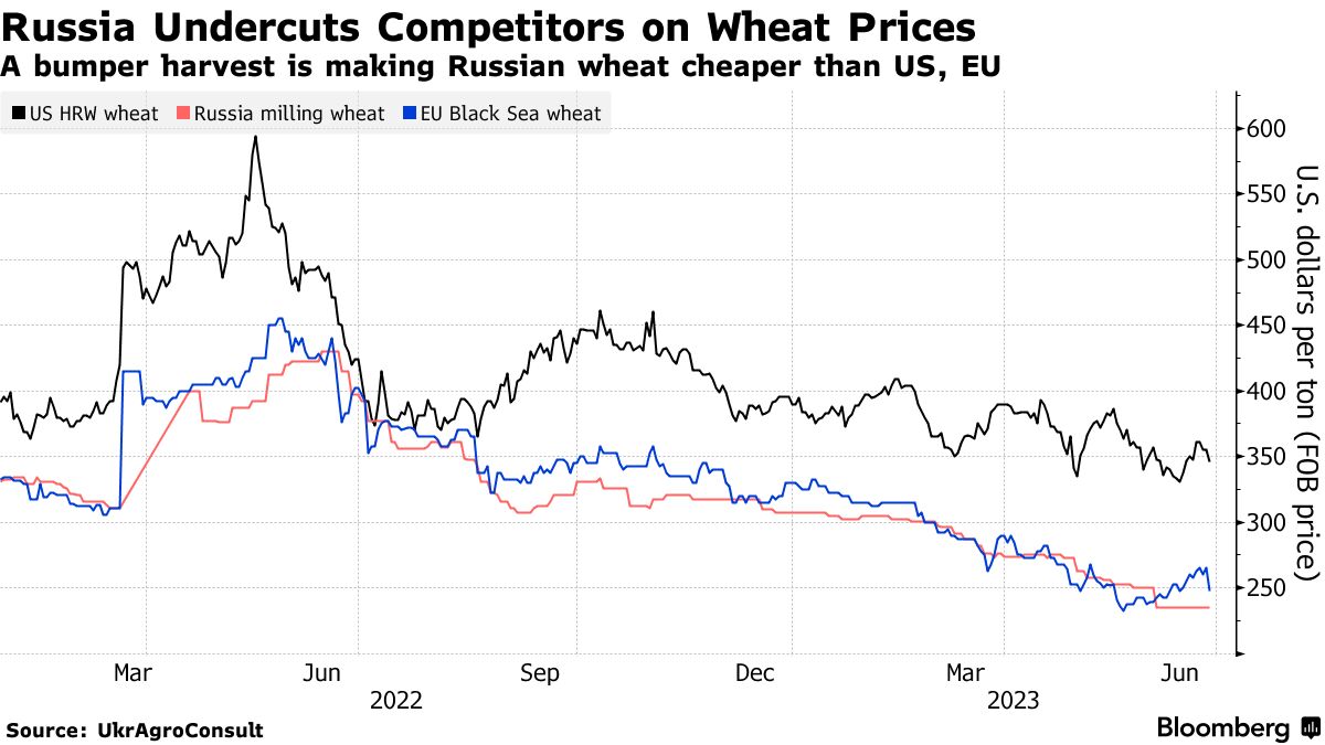 Экспорт зерновых 2023. Картинки экспорт российского зерна 2023 года. Объемы в трейдинге. Доля мирового рынка пшеницы в США. Мировой рынок зерна объем в долларах.