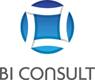 BI Consult Учебный центр