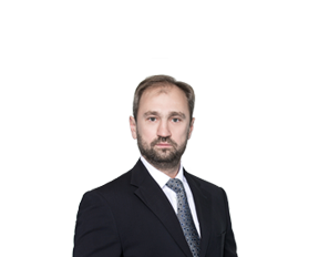 Файл:Томашевский Вячеслав Вячеславович.png