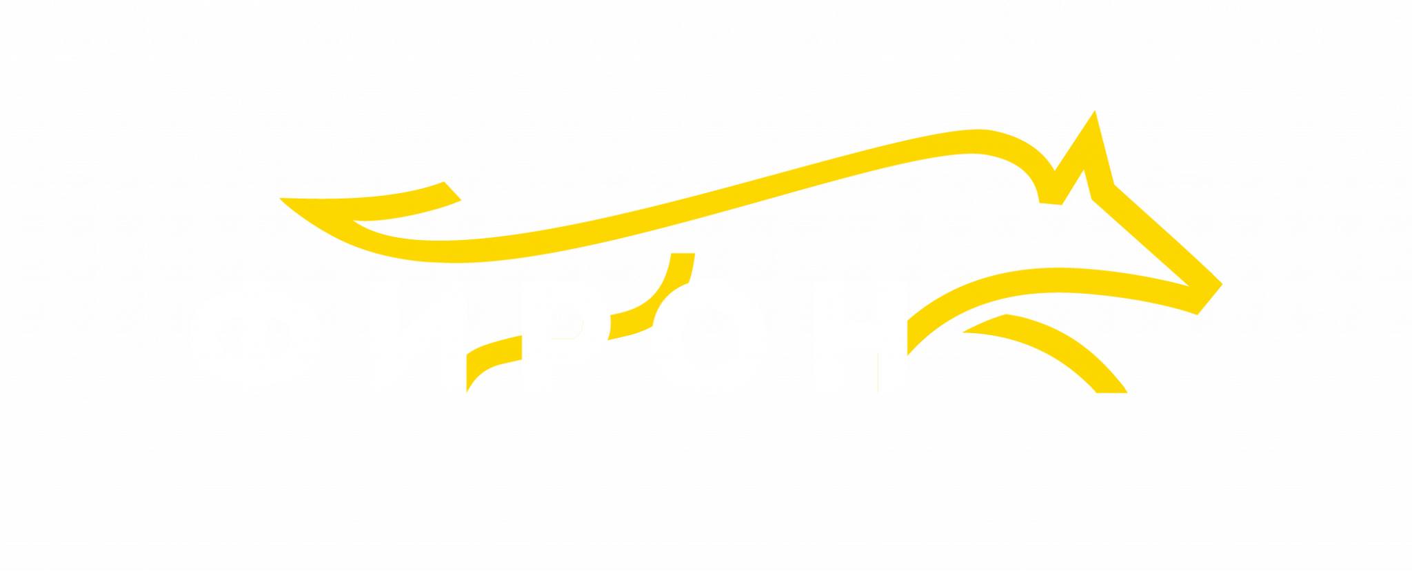 ФИРОН (Фонд инновационного развития образования и науки)