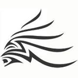 Адреналин Бразерс (Adrenalin Brothers)