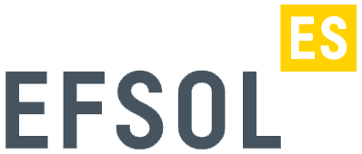 Efsol. Системная интеграция. Консалтинг