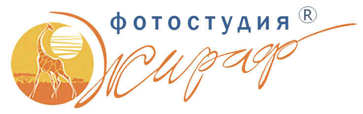 Жираф (Фотостудия)