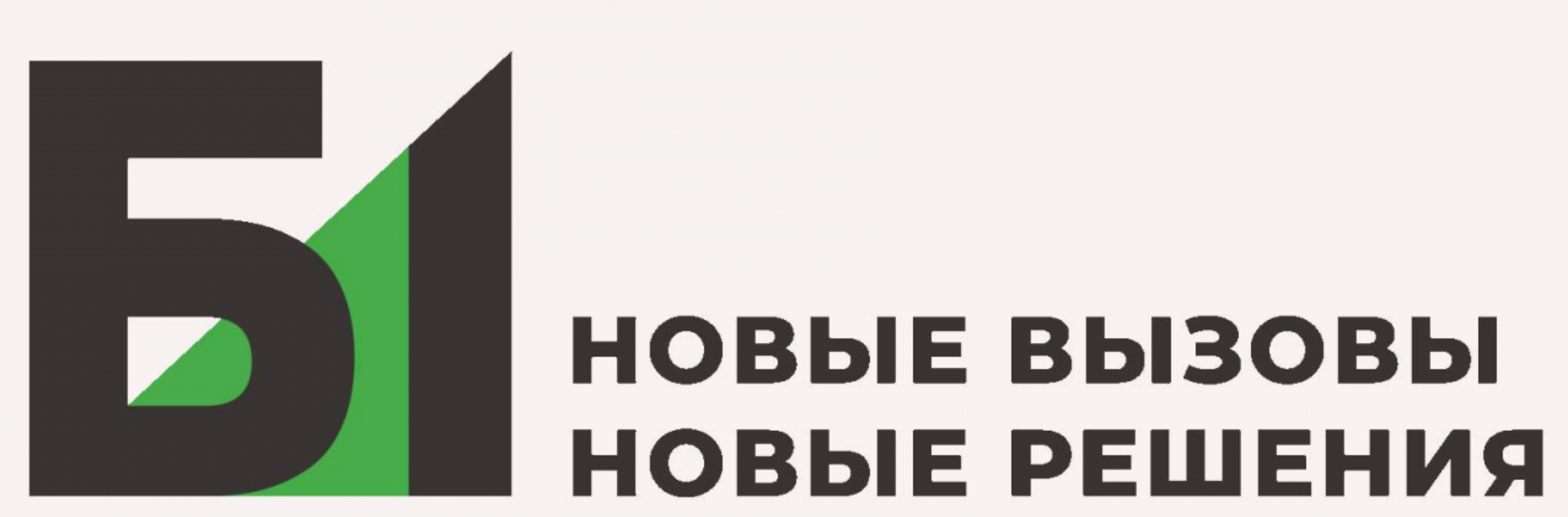 Б1(ранее Эрнст энд Янг)