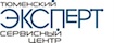 Тюменский эксперт