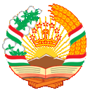 Налоговый комитет при Правительстве Республики Таджикистан