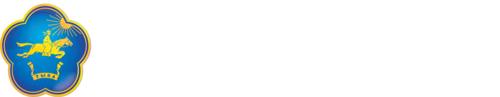 Министерство цифрового развития Республики Тыва