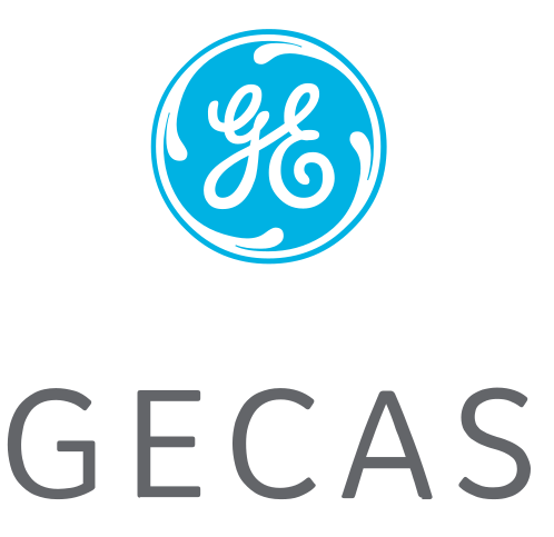 GE Capital Aviation Service (Gecas)