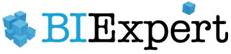 BI Expert