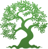 Областная клиническая больница №3 города Челябинска