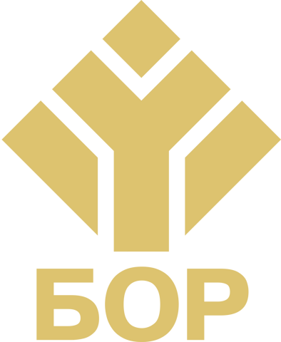 Бор Оздоровительный комплекс