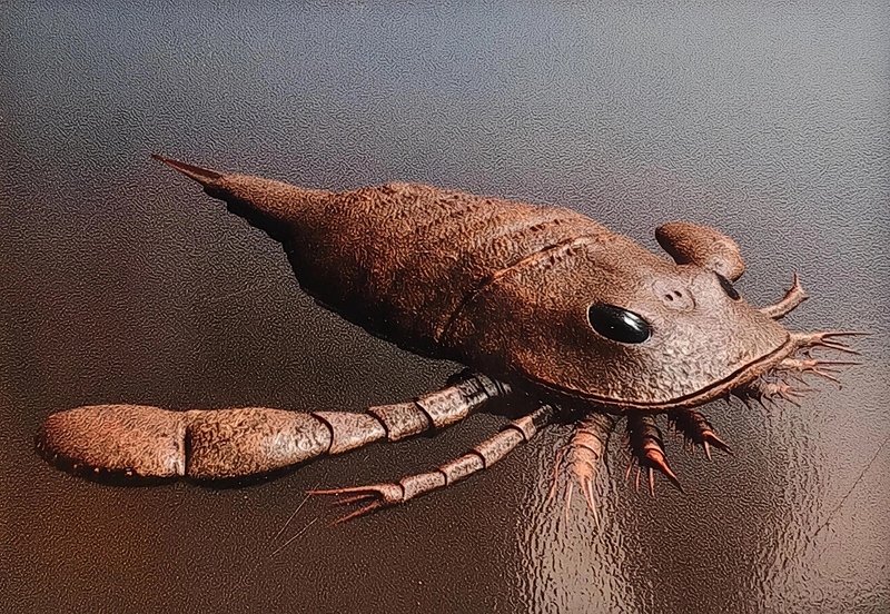 Файл:IMG 202508257840739395 1852x1278.jpg