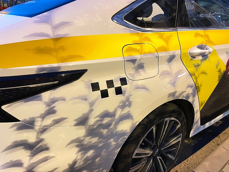 Файл:Photo 5208908548606653119 w (1).jpg