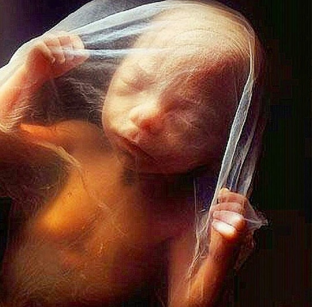 Файл:IMG 20210111 032702 894.jpg