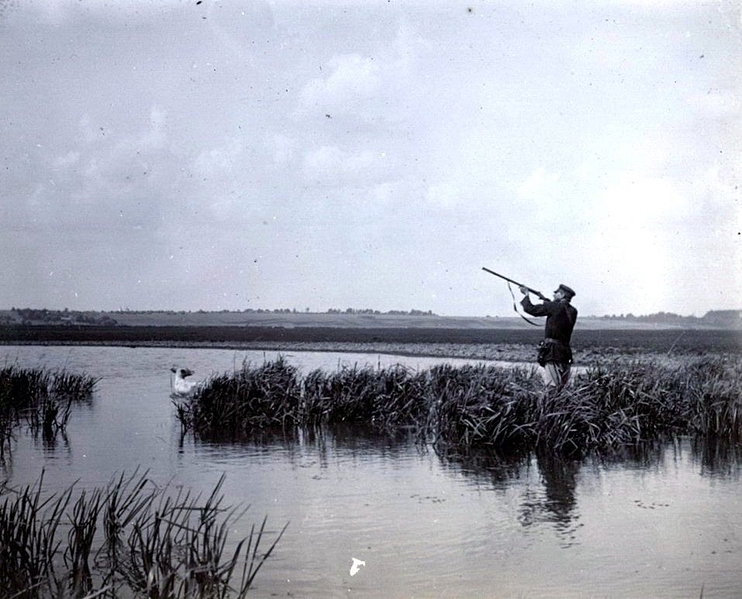 Файл:Муром 20251015 080241 979.jpg