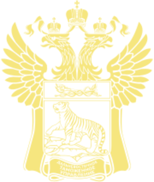 Владивостокская таможня