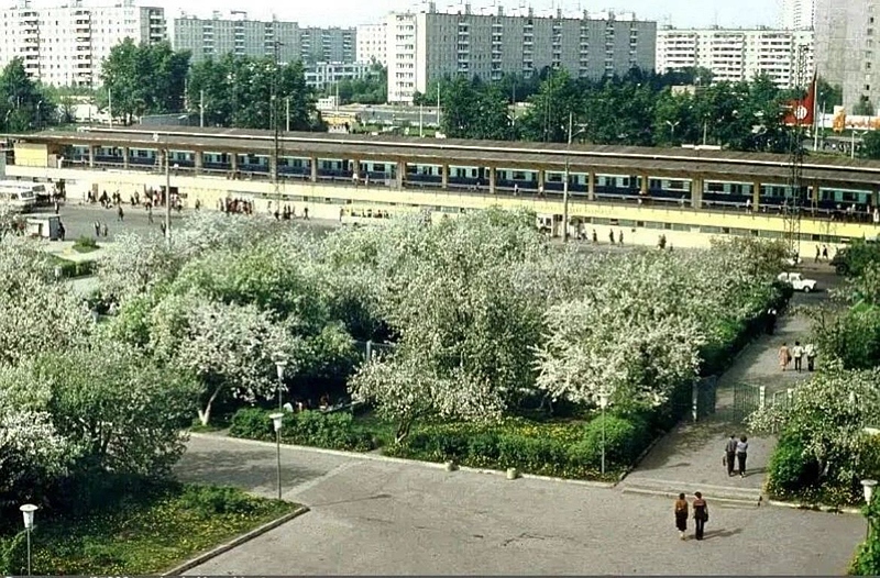 Файл:IMG 20240928 191538 570.jpg