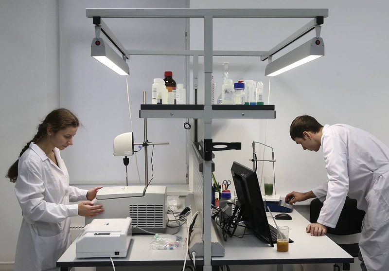 Файл:20200623145244 5ef1ed0c6d2e8.jpg