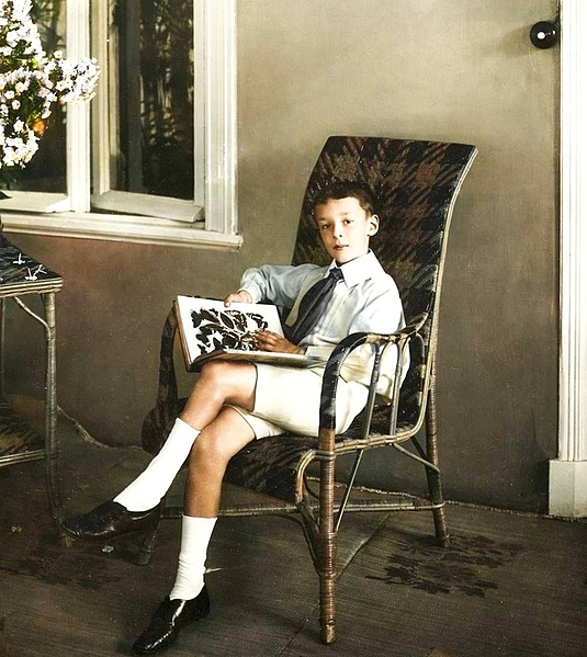 Файл:IMG 20240609 222919 934.jpg