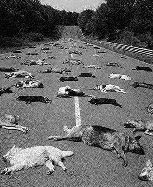 Файл:IMG 20230930 095653 490.jpg