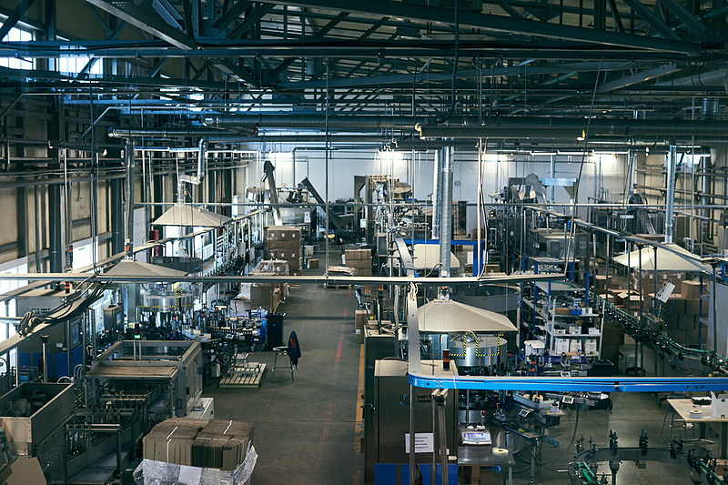 Файл:Белуга групп.jpg