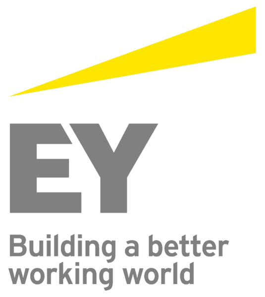 Файл:EY logo13.png