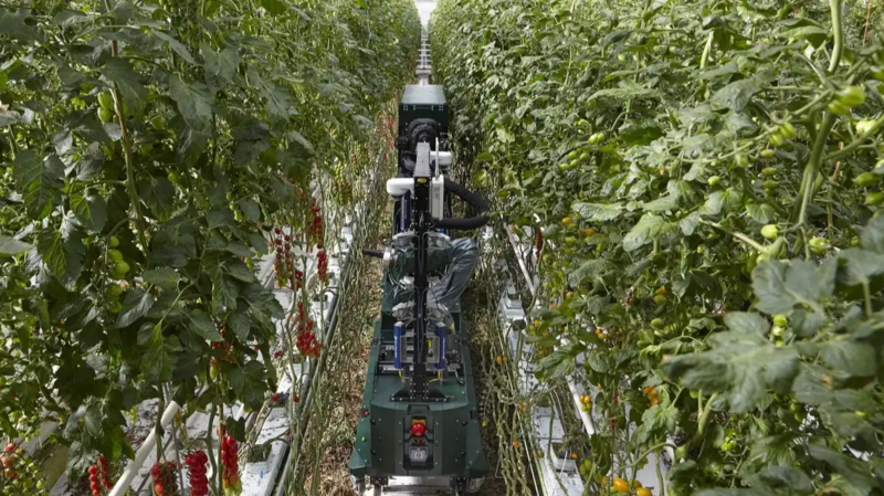 Файл:Screenshot 709.png