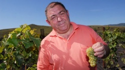 Вагнер Владимир Анатольевич