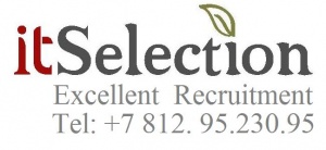 IT Selection Agency