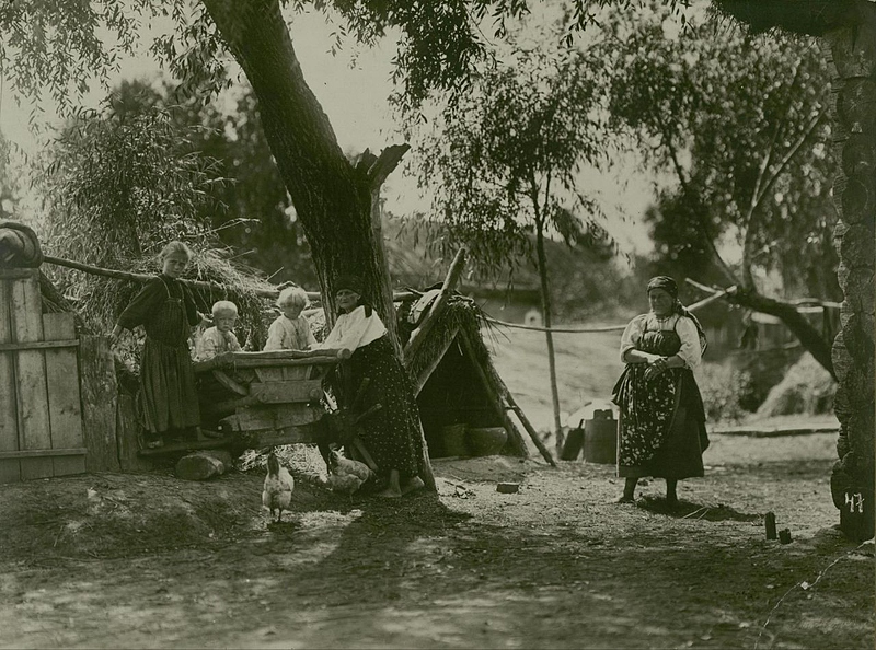 Файл:Ясная 20251108 064544 542.jpg