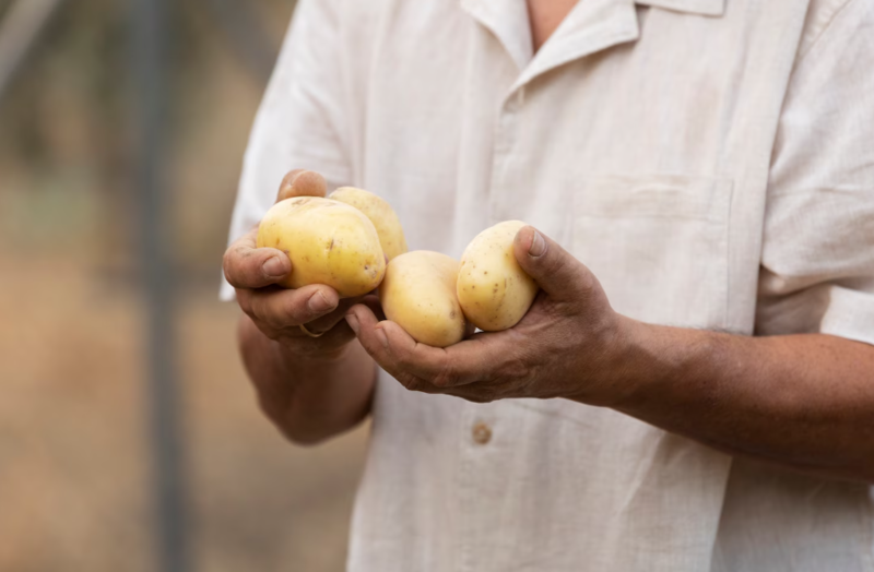 Файл:Screenshfasot 854.png