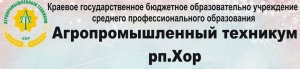 Агропромышленный техникум рп.Хор