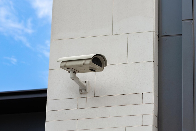 Файл:Surveillance-camera-built-into-stone-wall-building 93675-131321.jpg