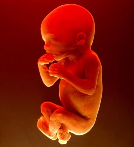 Файл:IMG 20211010 190243 603.jpg