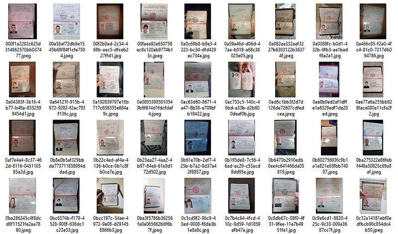 Файл:Photo 2022-12-23 10-38-43.jpg