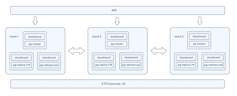 Файл:Схема в обзор Shardman 2.jpg