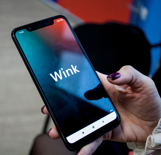 Файл:Wink российское ПО 0.jpg