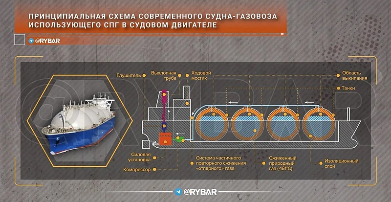 Файл:IMG 20231122 170758 850.jpg