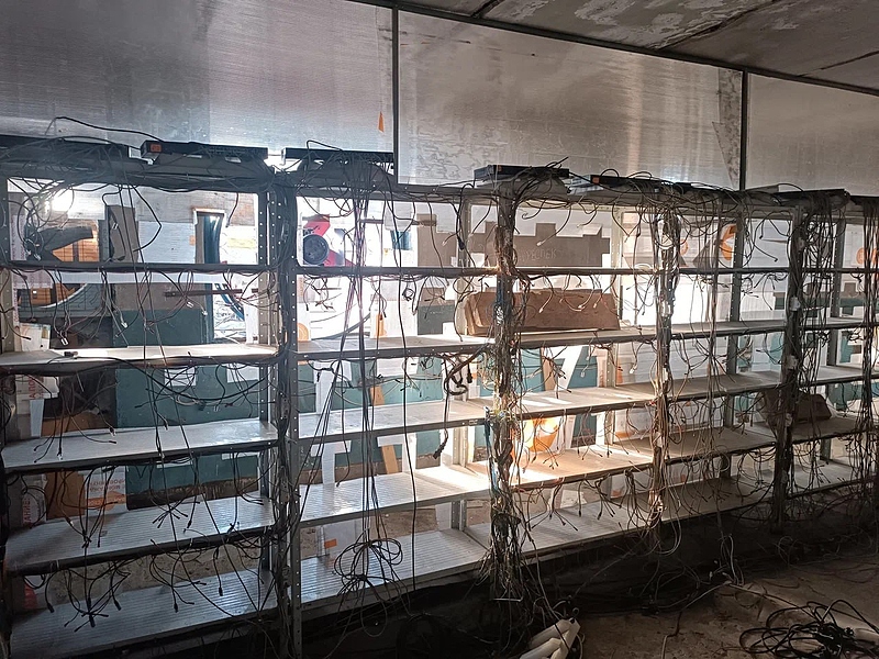 Файл:Photo 2025-08-20 04-26-32.jpg