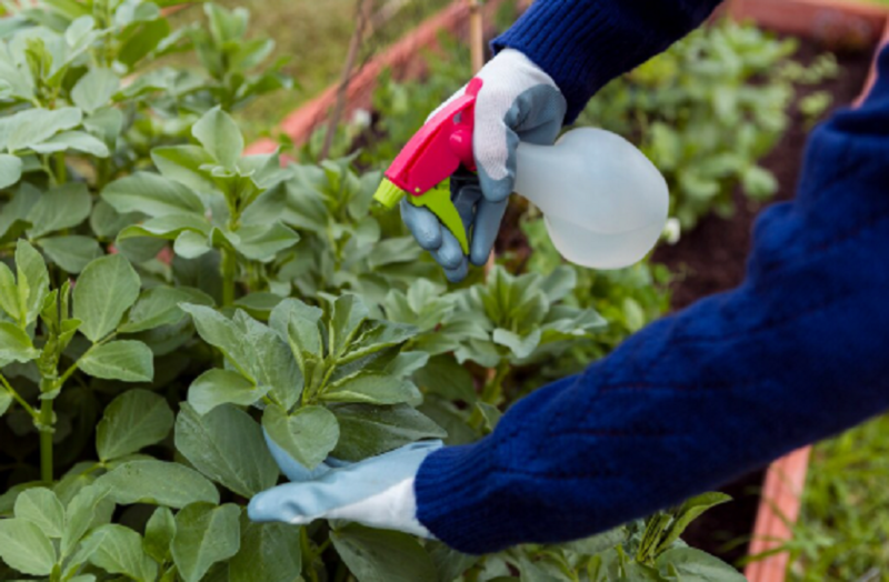 Файл:2025-10-30 17-53-24.png