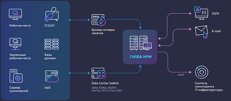 Файл:Гарда NPM.jpg