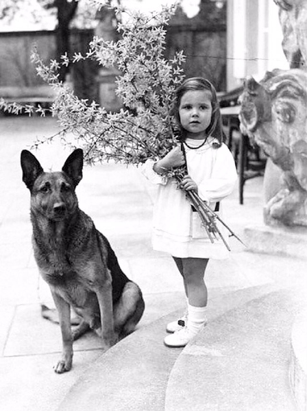 Файл:IMG 20200204 172232 610.jpg