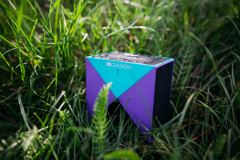 Файл:RS11944 MG 1295-scr.jpg