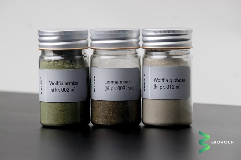 Файл:Photo 2021-08-13 17-54-59.jpg