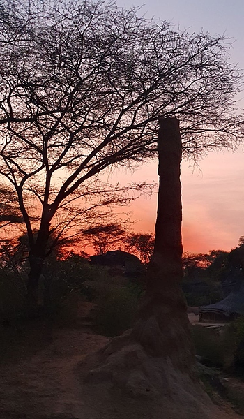 Файл:IMG 20240201 225759 799.jpg