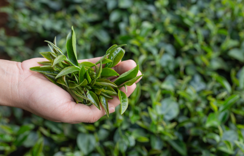 Файл:2025-09-30 18-05-11.png