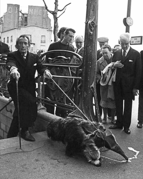 Файл:IMG 20201006 213120 101.jpg