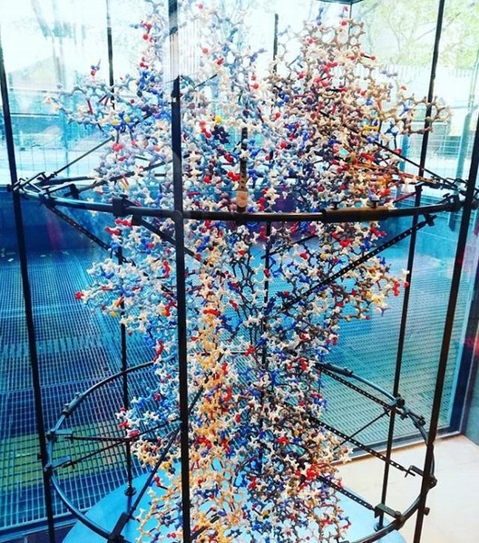 Файл:IMG 20190408 065939 559.jpg